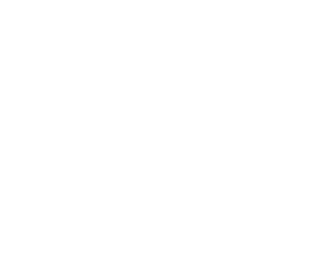 Vissure Technologies logo